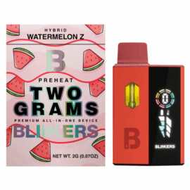 Blinkers 2G Fruits Led AIO | Watermelon Z Disposable