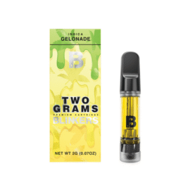 2G Blinkers Original | Carts