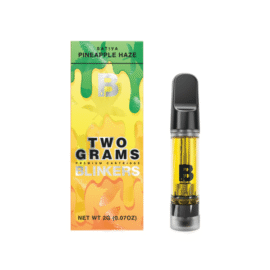 2G Blinkers Original | Carts