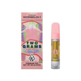 2G Blinker Fruit Carts | Watermelon Z